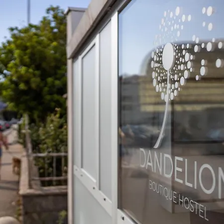 Dandelion * Задар