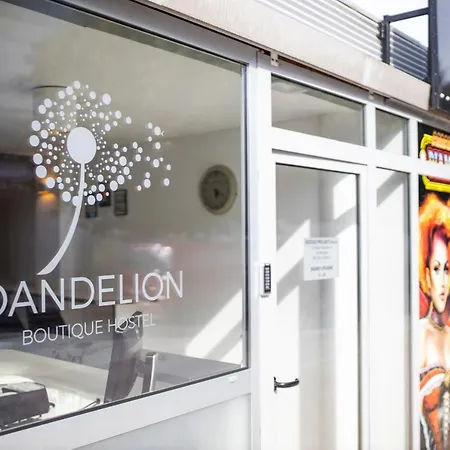 Dandelion * Zara