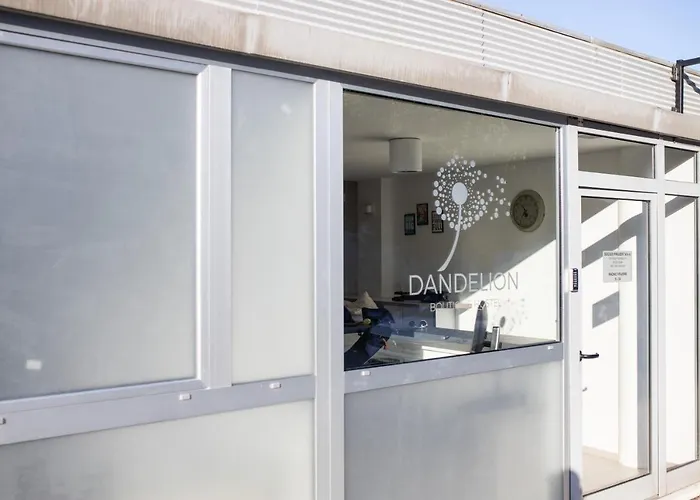 Dandelion Albergue Zadar