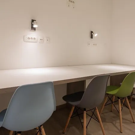 Dandelion بيت شباب زادار