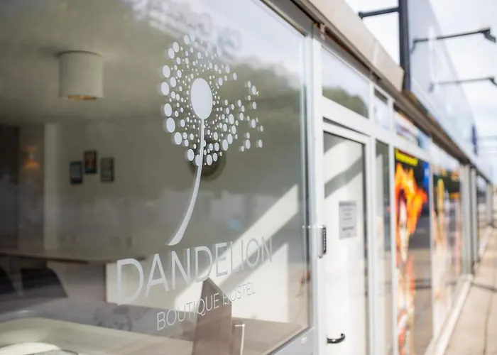 Dandelion * زادار