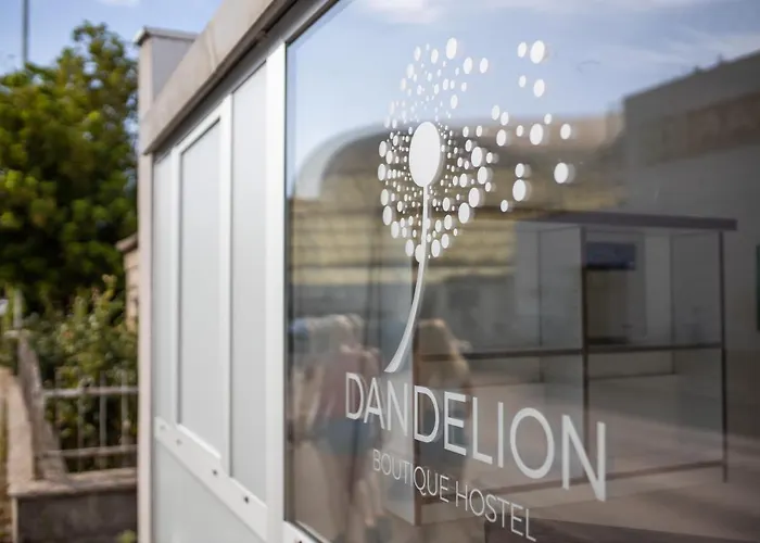 بيت شباب Dandelion *