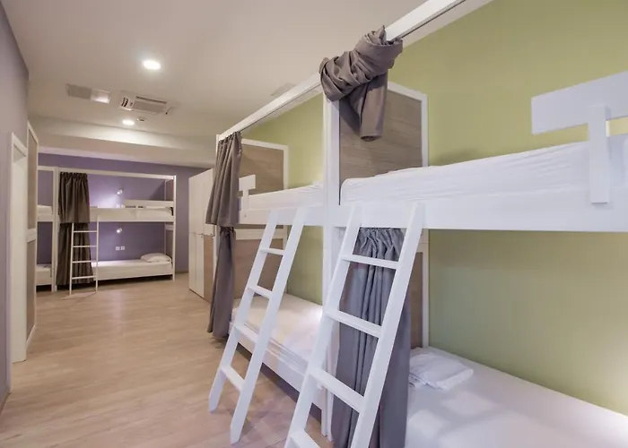 Dandelion * 자다르