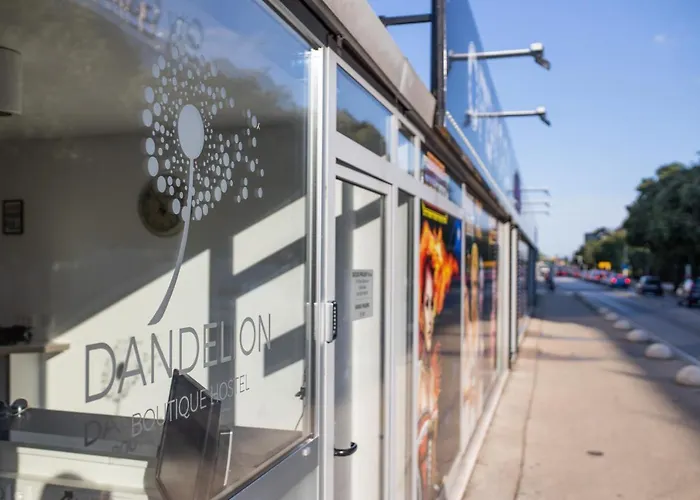 بيت شباب Dandelion *