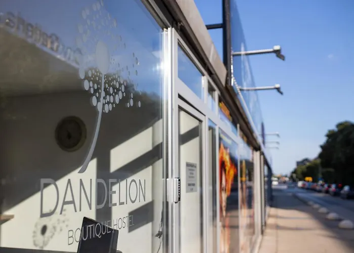 Dandelion بيت شباب زادار