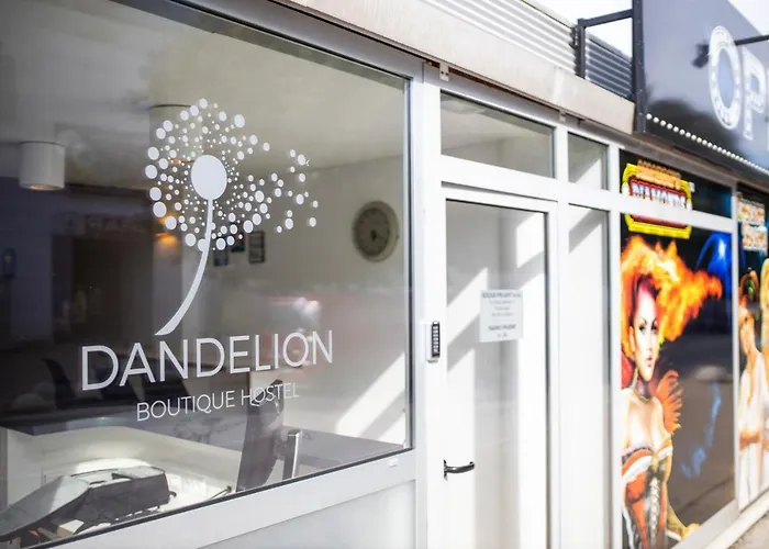 Dandelion * 자다르