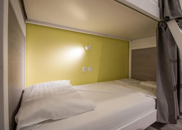 Dandelion * 자다르