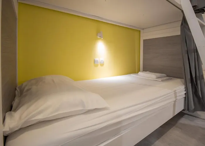 Dandelion * 자다르